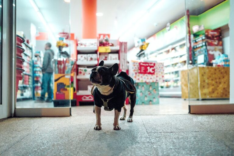 Dog-friendly stores